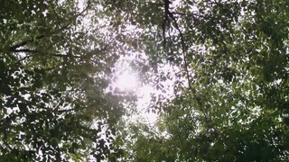 Vương Phi Tiến Công EP 15 [Sub Việt]