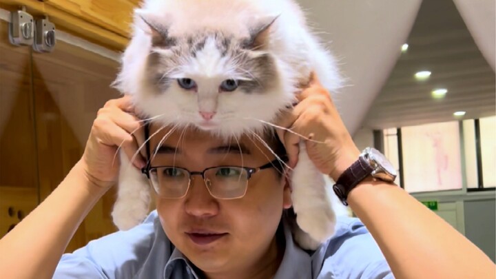 บ้านเล็บในคาเฟ่แมว