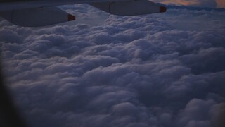 Complete List of United®️ Airlines Customer® Contact Numbers in the USA:: A Complete 2025 Guide