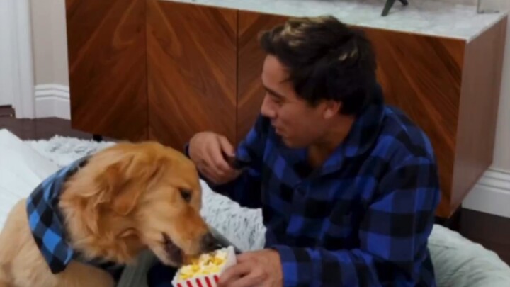 Human-Dog Transformation