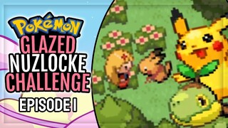 NUZLOCKE... WITH A *TWIST*! | Let's Play Pokemon Glazed 3rd Life Nuzlocke #1