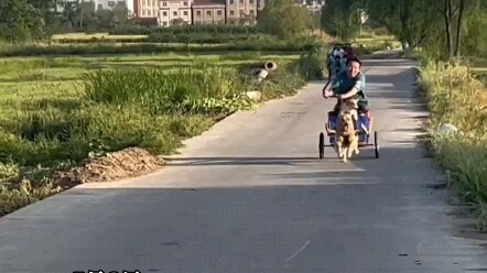 Nụ cười trên gương mặt người đàn ông vẫn chưa biến mất, chỉ là đã chuyển sang gương mặt tôi.