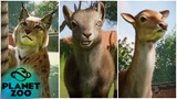🦌 ALL 5 NEW ANIMALS SHOWCASED - Planet Zoo Europe Pack [4K 60FPS]