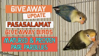 Pair of Lovebirds Giveaway, Thank you for 1,000