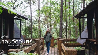 เที่ยวป่าสนวัดจันทร์ กัลยาณิวัฒนา เชียงใหม่ Travel 101 Watchan Forest Park SS2Ep9