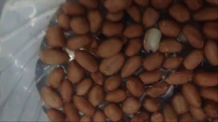 Hướng dẫn làm đậu phộng da cá ngon tuyệt!