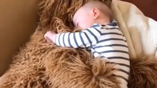 سعادة الأخ الصغير