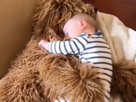 Niềm vui của cậu bé