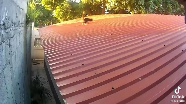 si hitam keren😋😋