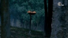 รัก สาป สูญ EP.7