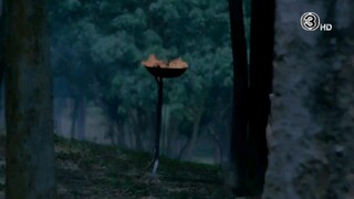 รัก สาป สูญ EP.7