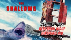 HIDUP DI ATAS KARANG, DI-STALKING PARA HIU GANAS - PART 3