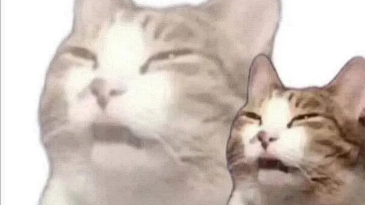 Kehidupan Sehari-hari seorang INTP