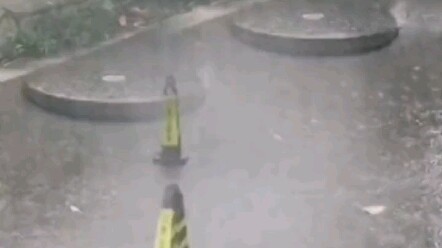 เหมยหยางหยางกับเฟ่ยหยางหยาง