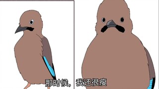 [Hoạt hình｜The Jays Eat] "Lúc đó tôi vẫn rất gầy"