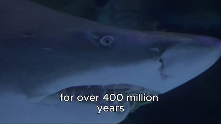 DID YOU KNOW  你可知道