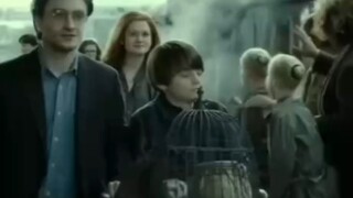 Small details of Harry Potter 7