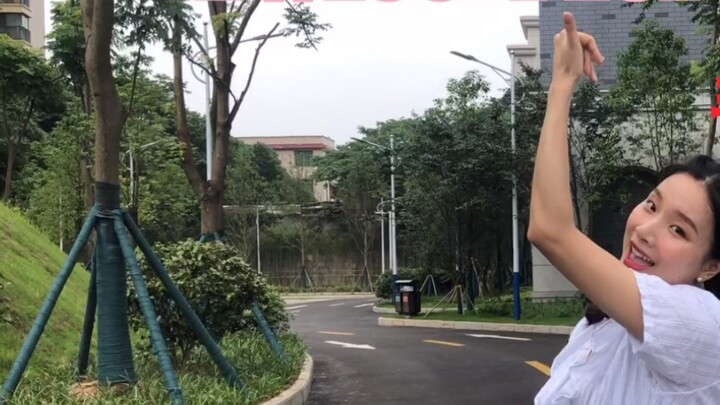 [Cherry Girl Yellow] Twice-More&More 80 million building in front of the bunny gas touch touch