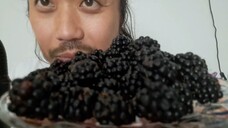 ASMR EATING SOUNDS - BLACKBERRIES