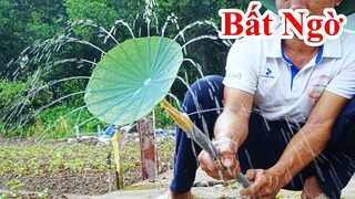 Điều Bất Ngờ Ở Trong Lá Sen Mà Không Ai Hay Biết / Chuyện Lạ Khó Tin Về Cây Sen . water pump lotus