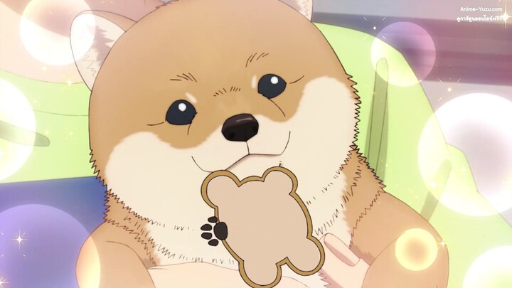 sakamotoday2 ตอนที่12