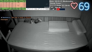 Sleep Stream 28.05.2025