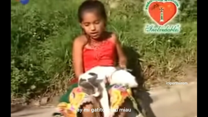 Meme Peru cực hot trên Instagram: ay mi gatito miau miau