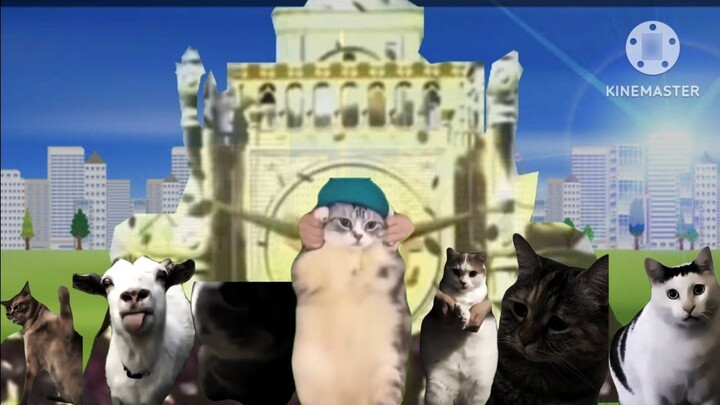 【Cat meme】The King of Time Cat