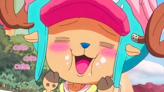 CUTE MOMENT CHOPPER😍