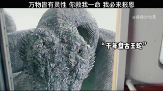 小男孩意外救下一条盘古巨蛇，没想到关键时刻它竟救了自己一命 "快手影视巨星计划  "大蛇3龙蛇之战