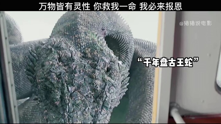 小男孩意外救下一条盘古巨蛇，没想到关键时刻它竟救了自己一命 "快手影视巨星计划  "大蛇3龙蛇之战