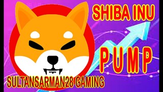 SHIBA INU PUMP NOW #SHIBA #SULTANSARMAN28