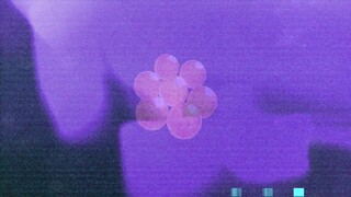 Dragon Ball Daima - Trailer Video