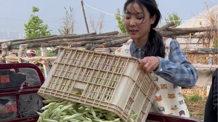 Sudah tukar sayur senilai 500 yuan, berapa banyak yang bisa saya dapatkan hari ini?