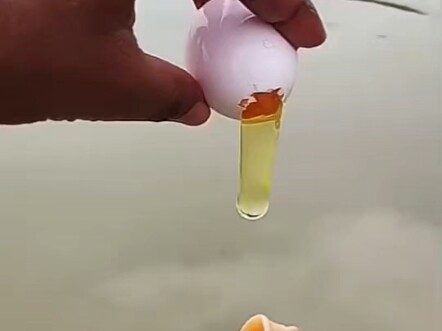 喂鱼