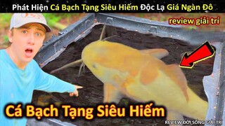 Phát Hiện Loài Cá Bạch Tạng Độc Lạ Cực Hiếm Ngàn Đô Cũng Không Mua Được || Review Giải Trí Đời Sống