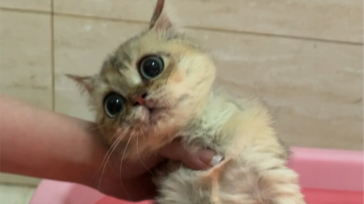 Very messy, yet a bit cute.