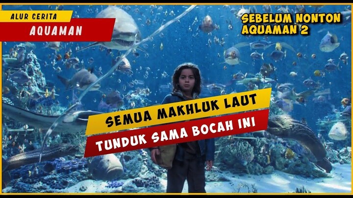 Bocah Ini Ternyata Anak Raja Atlantis  AQUAMAN
