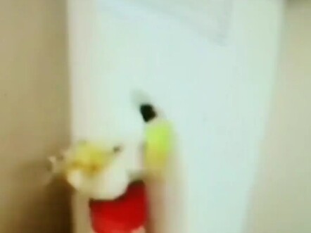 The Great Sage's skills are as impressive as ever!