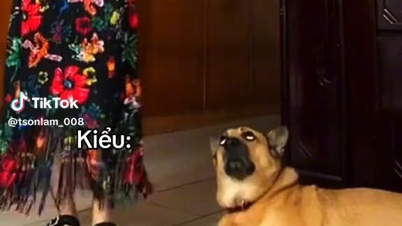 tôi khi thấy mấy đứa mình ghét