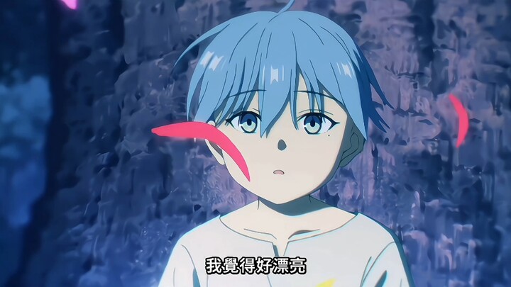 那一年少年遇到了最美的花田魔法