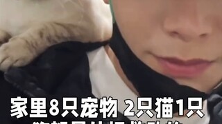 Sekali lagi, drama ini tidak populer. Berapa banyak orang yang jatuh cinta pada Xiao Ding~Ding Yuxi 