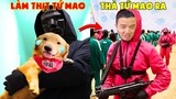 Thú Cưng Vlog | Tứ Mao Ham Ăn Đại Náo Bố #30 | Chó gâu đần thông minh vui nhộn | Funny smart pet dog