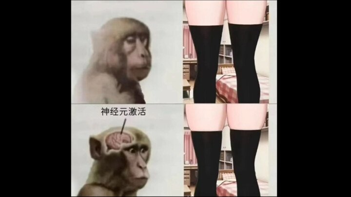 ภาพมีมขำๆ | ก็ไม่ต่างกันเลยนี่นา