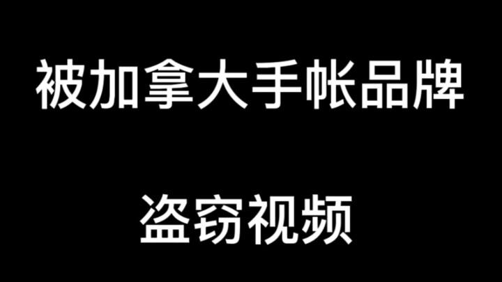 I was stolen from by a Canadian bullet journal brand's video………