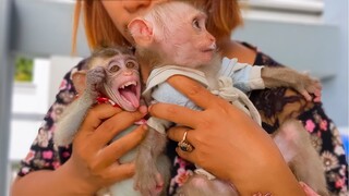 Beautiful girls Toto & Yaya having so much fun playing together with love deeply from Mom