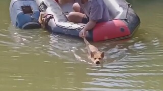 救赎之道 就在其中