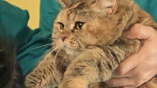 Ngày kiểm tra sức khỏe yêu thích nhất của Quang Đang