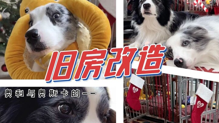 إعادة تأهيل منزل قديم من أجل أطفالنا الفرويين!