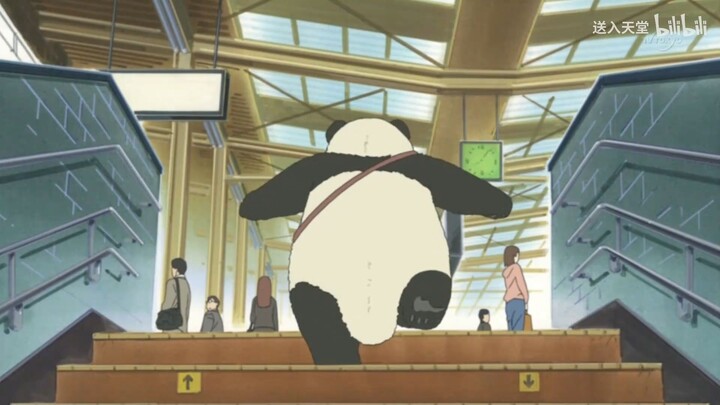 SHIRO KUMA CAFE 5：灰熊的过去